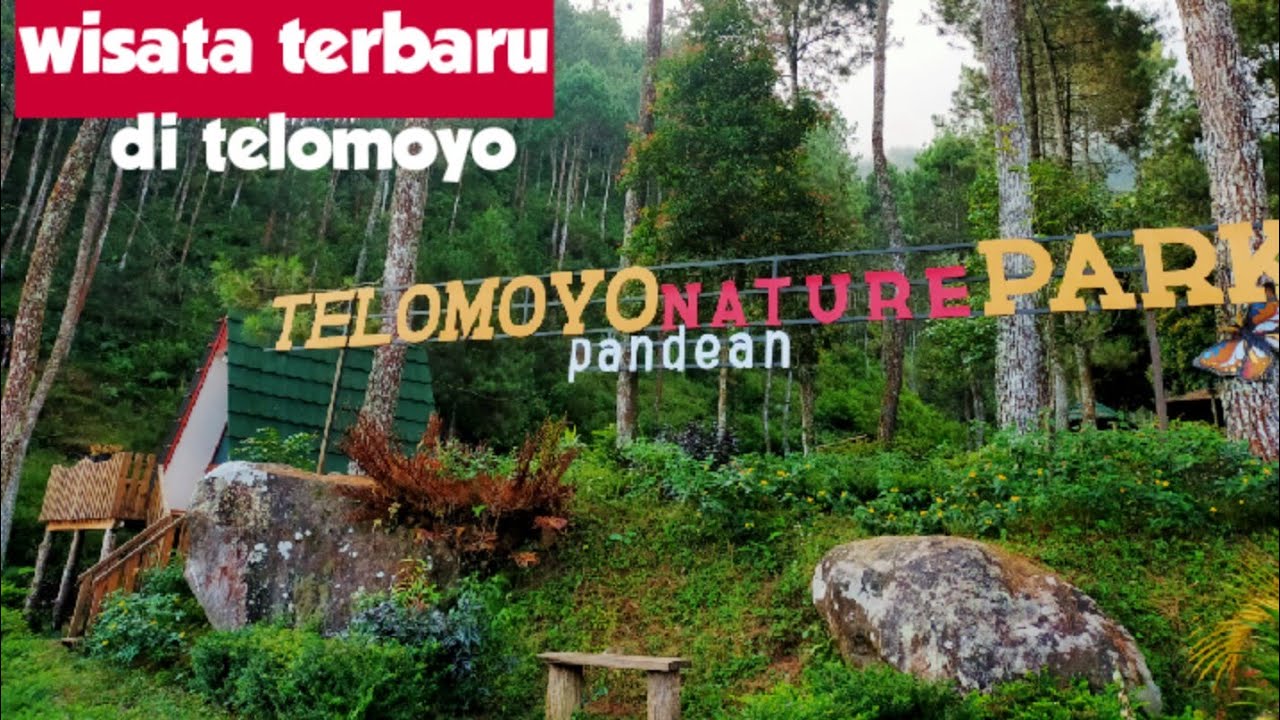 Telomoyo Nature Park: Surga Alam di Lereng Gunung Telomoyo